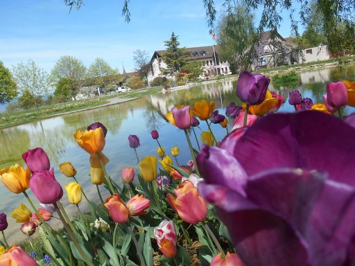 🎉 Découvrez notre nouveau site internet !